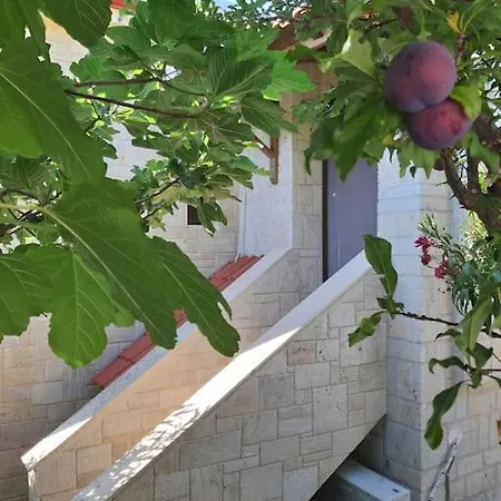 Sunny Case de vacanță