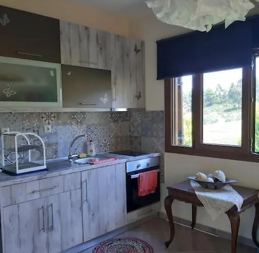 Case de vacanță Sunny *