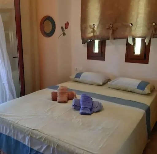 Sunny Case de vacanță